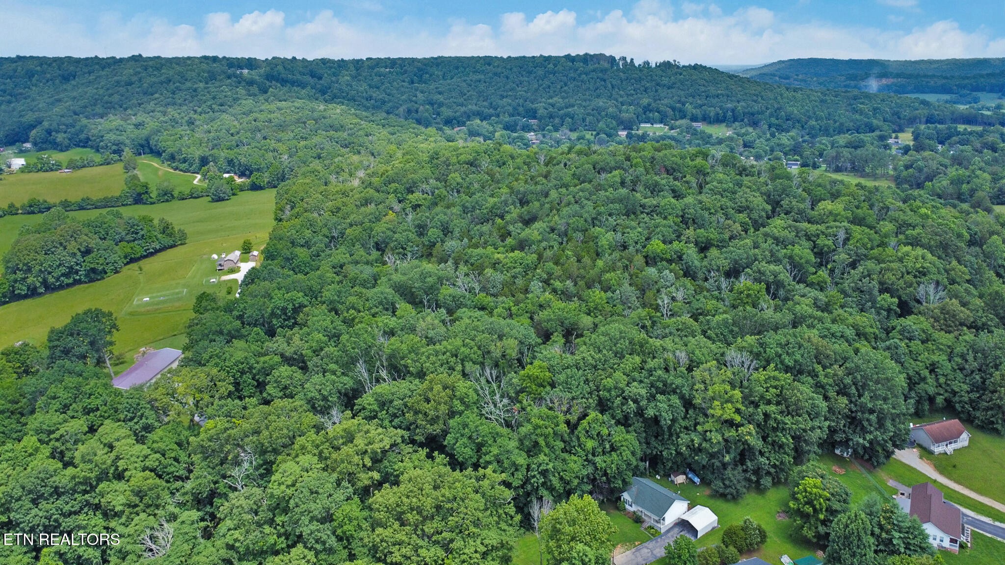 1644 Walker Cove Road Sparta, TN 38583 - Photo 11 of 27 a view of a lush green forest with houses