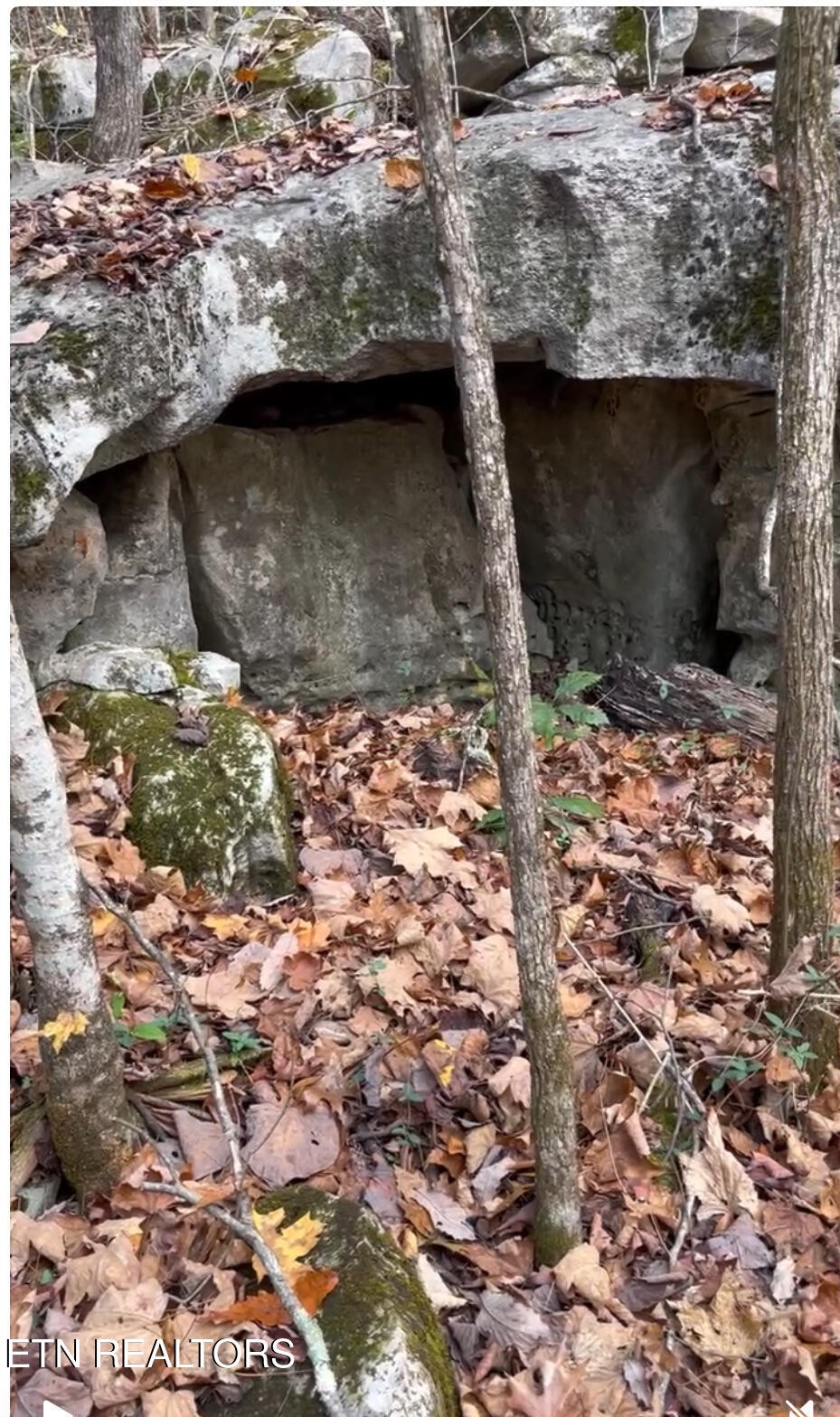 1644 Walker Cove Road Sparta, TN 38583 - Photo 13 of 27 a view of parking area