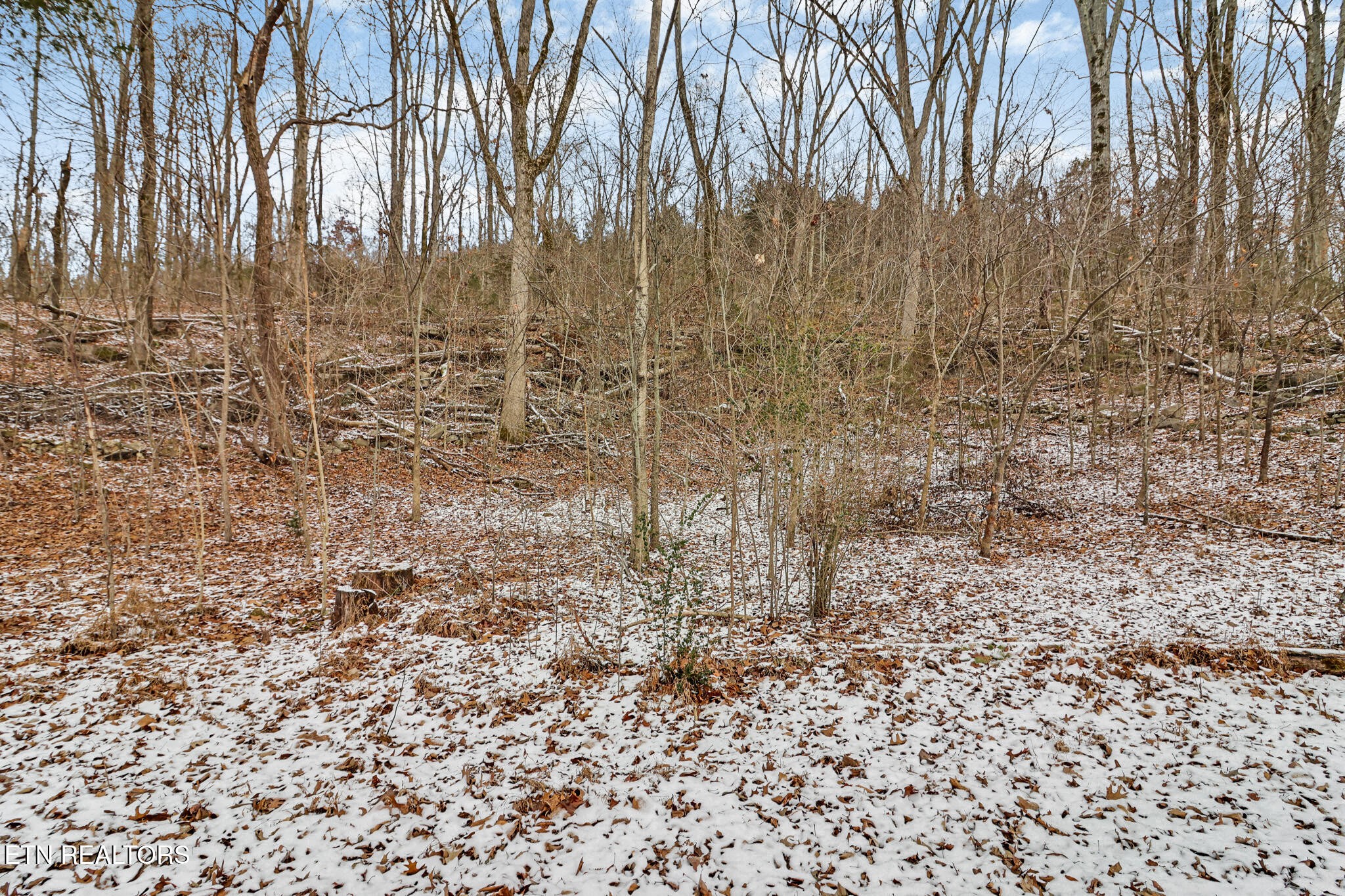1644 Walker Cove Road Sparta, TN 38583 - Photo 24 of 27 a view of a yard with trees in front of it
