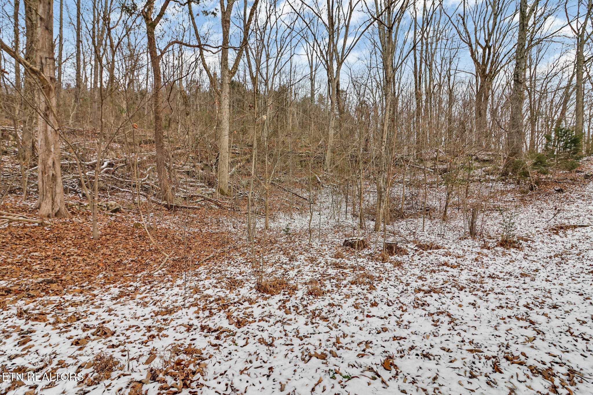 1644 Walker Cove Road Sparta, TN 38583 - Photo 25 of 27 a view of a yard with trees