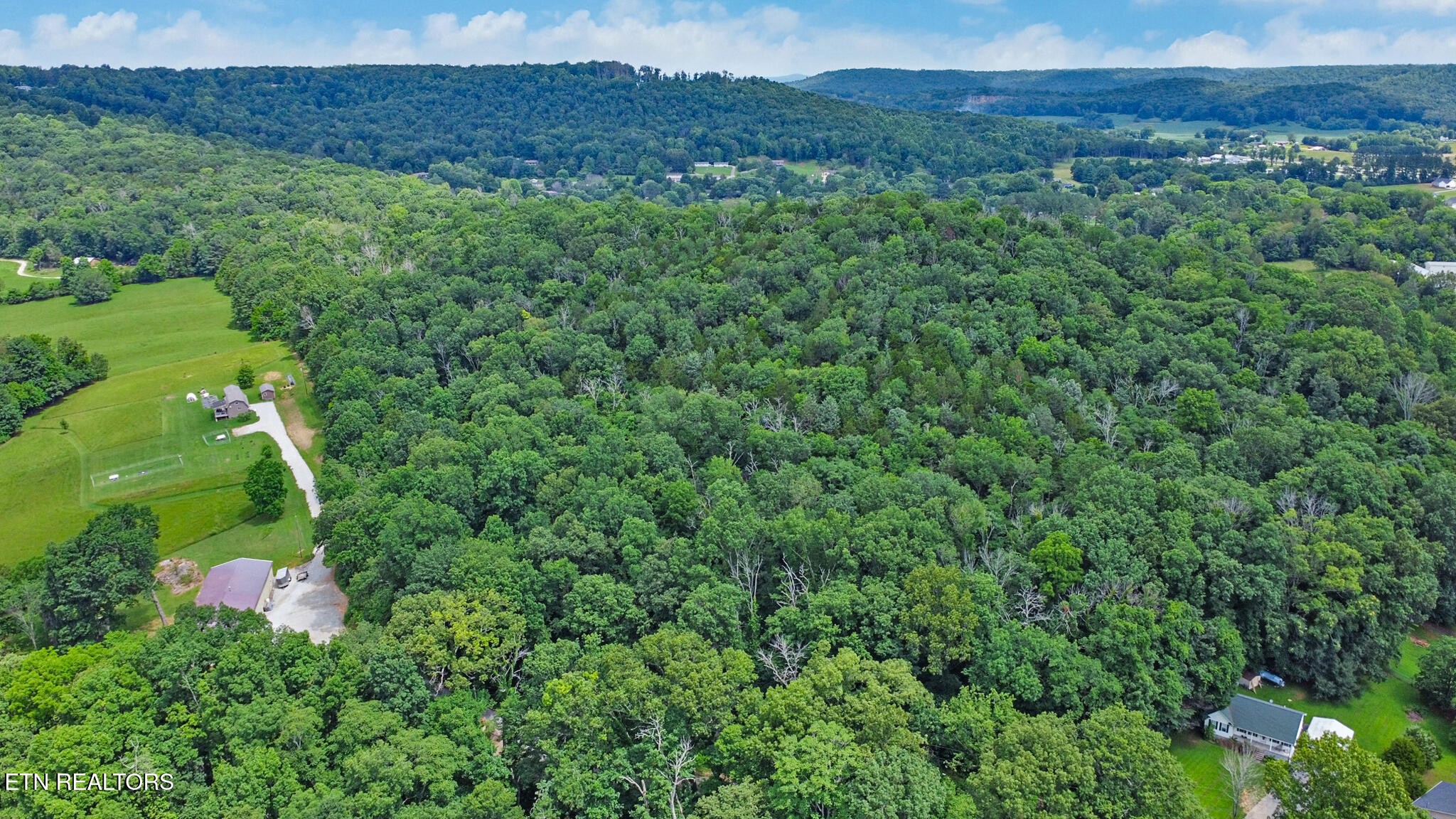 1644 Walker Cove Road Sparta, TN 38583 - Photo 3 of 27 a view of a lush green forest with trees in the background