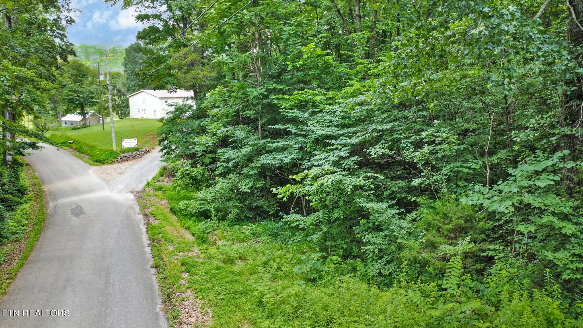1644 Walker Cove Road Sparta, TN 38583 - Photo 7 of 27 a view of a garden with plants
