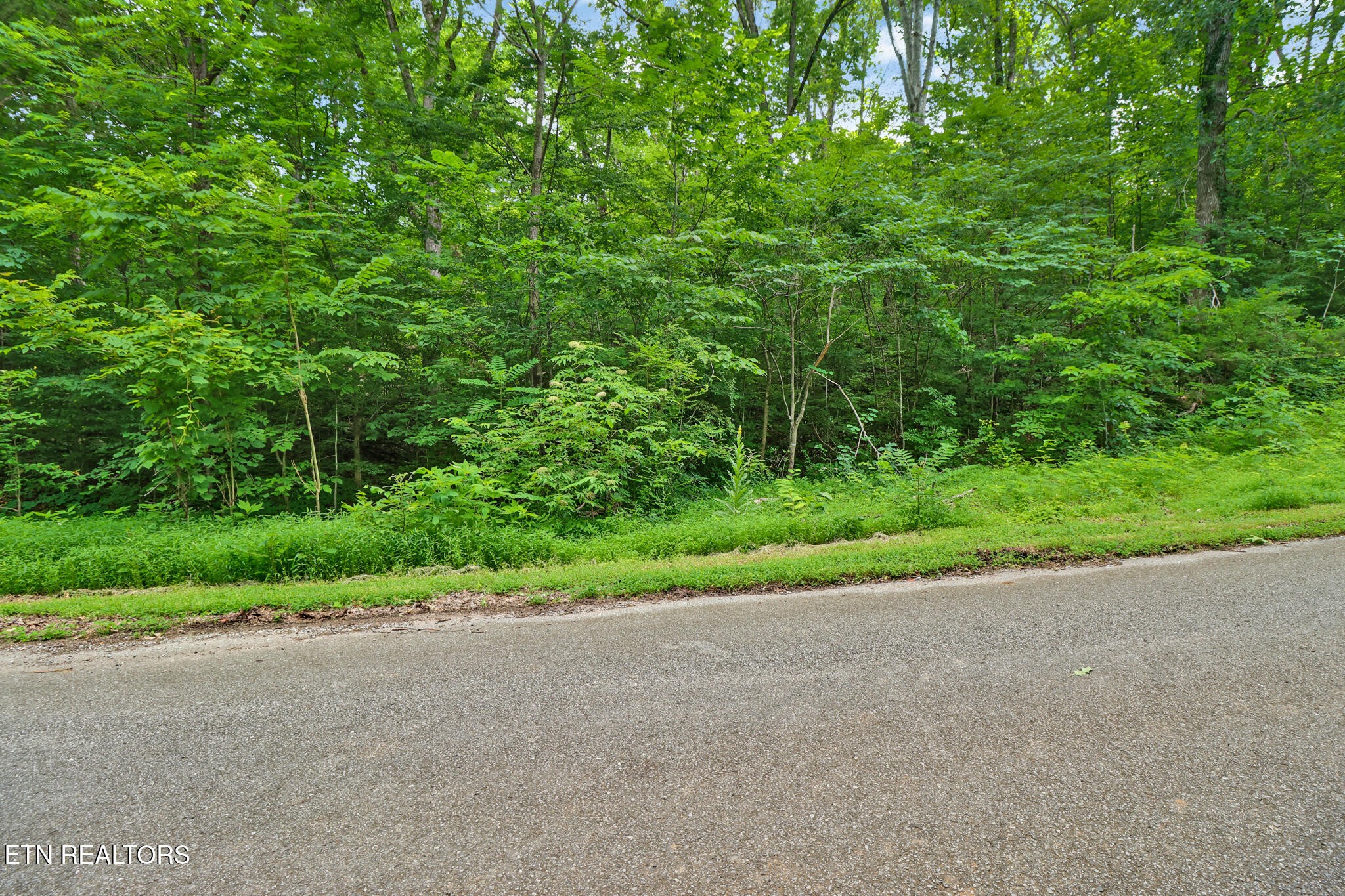 1644 Walker Cove Road Sparta, TN 38583 - Photo 8 of 27 a view of a backyard