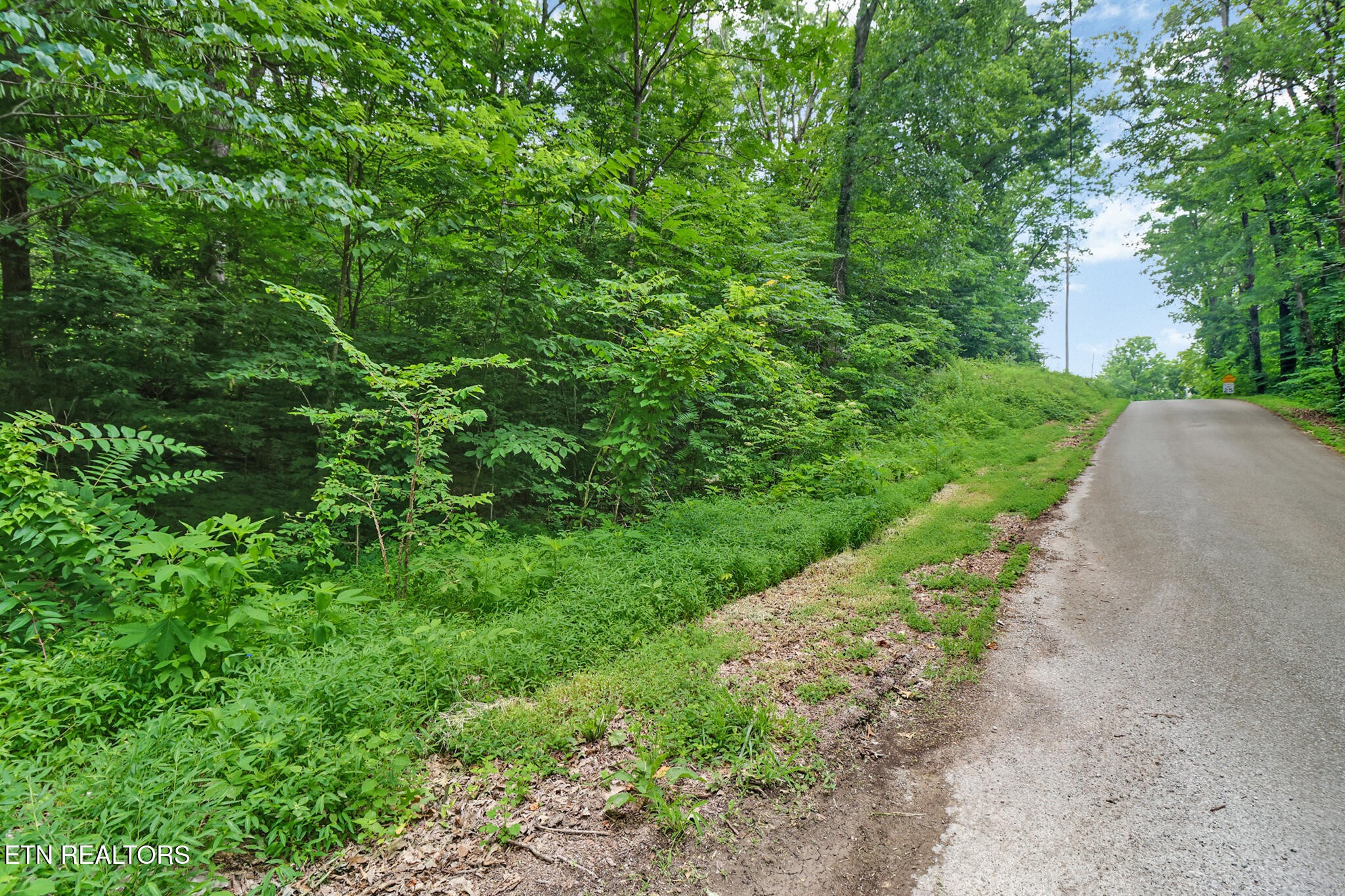 1644 Walker Cove Road Sparta, TN 38583 - Photo 10 of 27 a view of a garden with plants and large trees