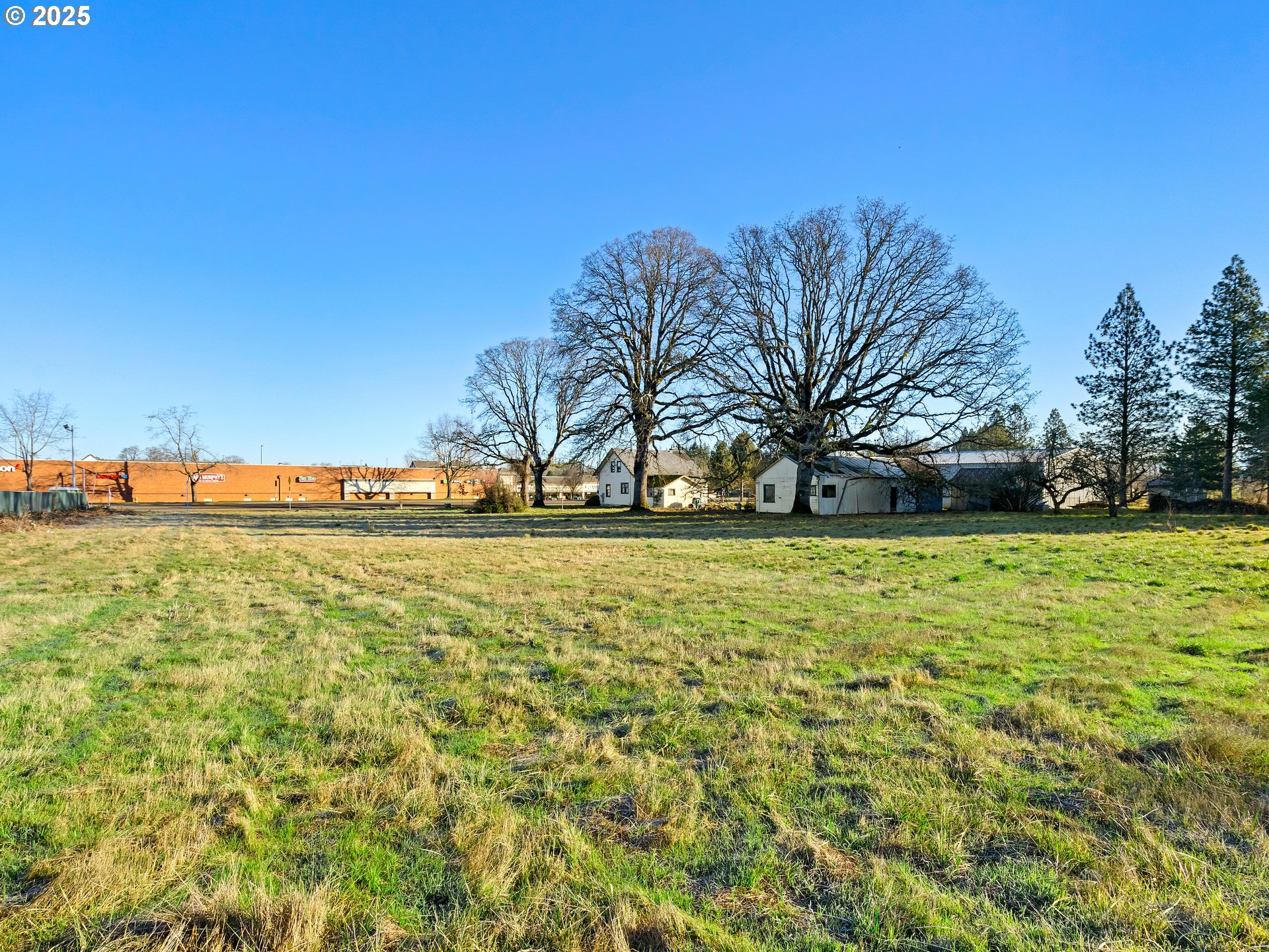 West Main Street Molalla, OR 97038 - Photo 5 of 11 a view of yard with green space