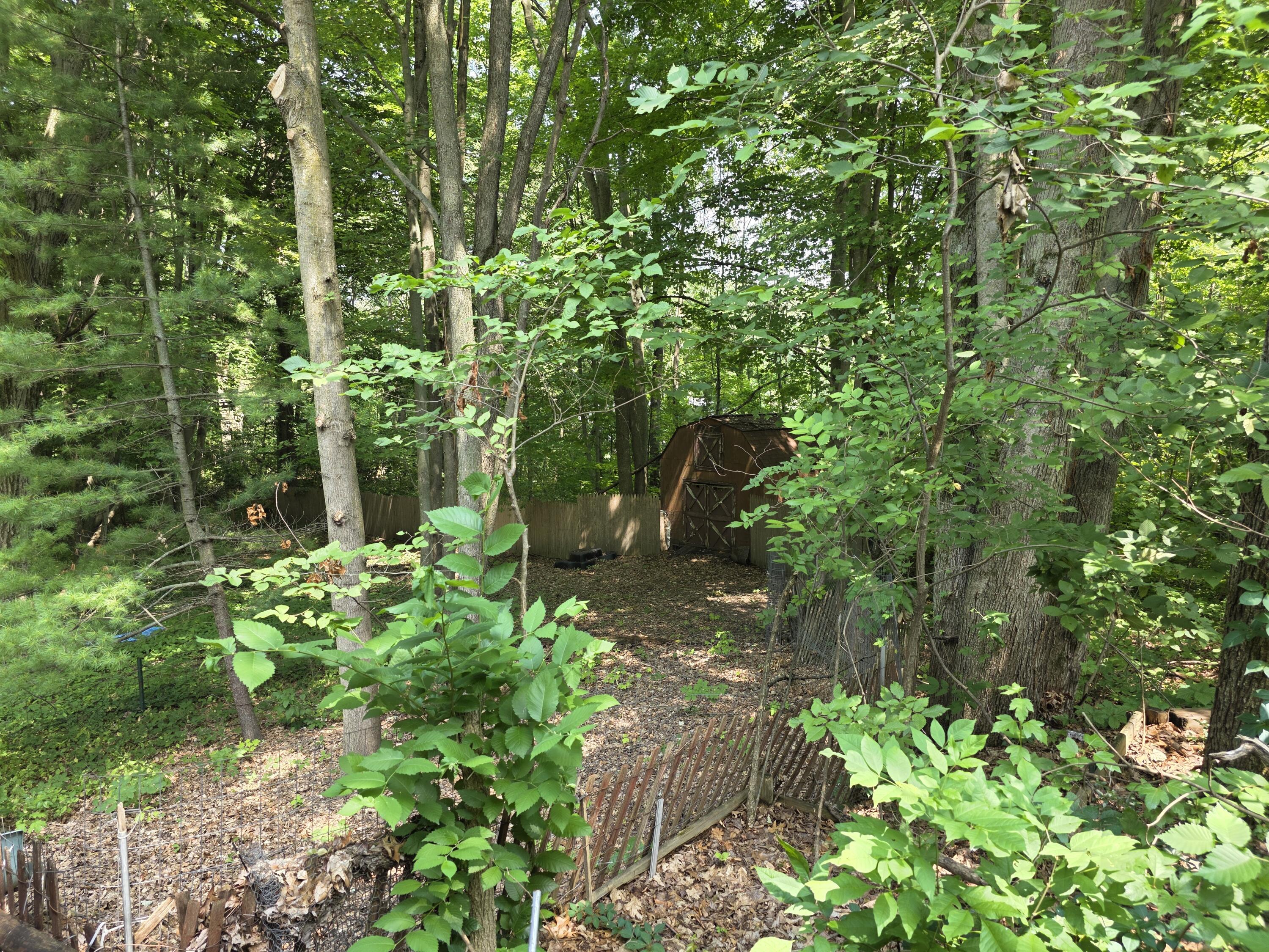 22270 Kendaville Road Pierson, MI 49339 - Photo 4 of 10 20260728_142755