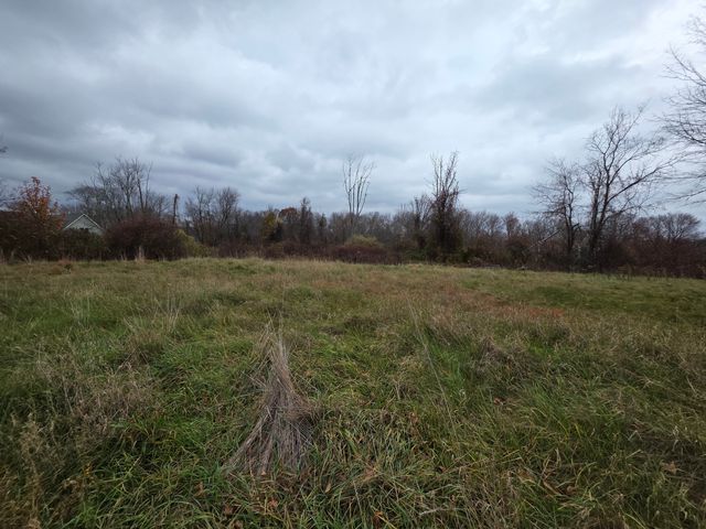 a view of a field of grass and trees