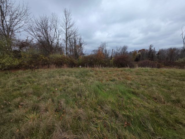 a view of outdoor space and trees