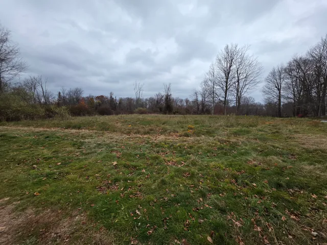 a view of outdoor space and yard