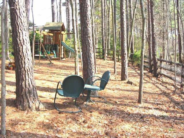 102 Winterberry Ridge Drive Durham, NC 27713 - Photo 10 of 10 Private fenced-in back yard with Creative Playthings wooden play structure Other