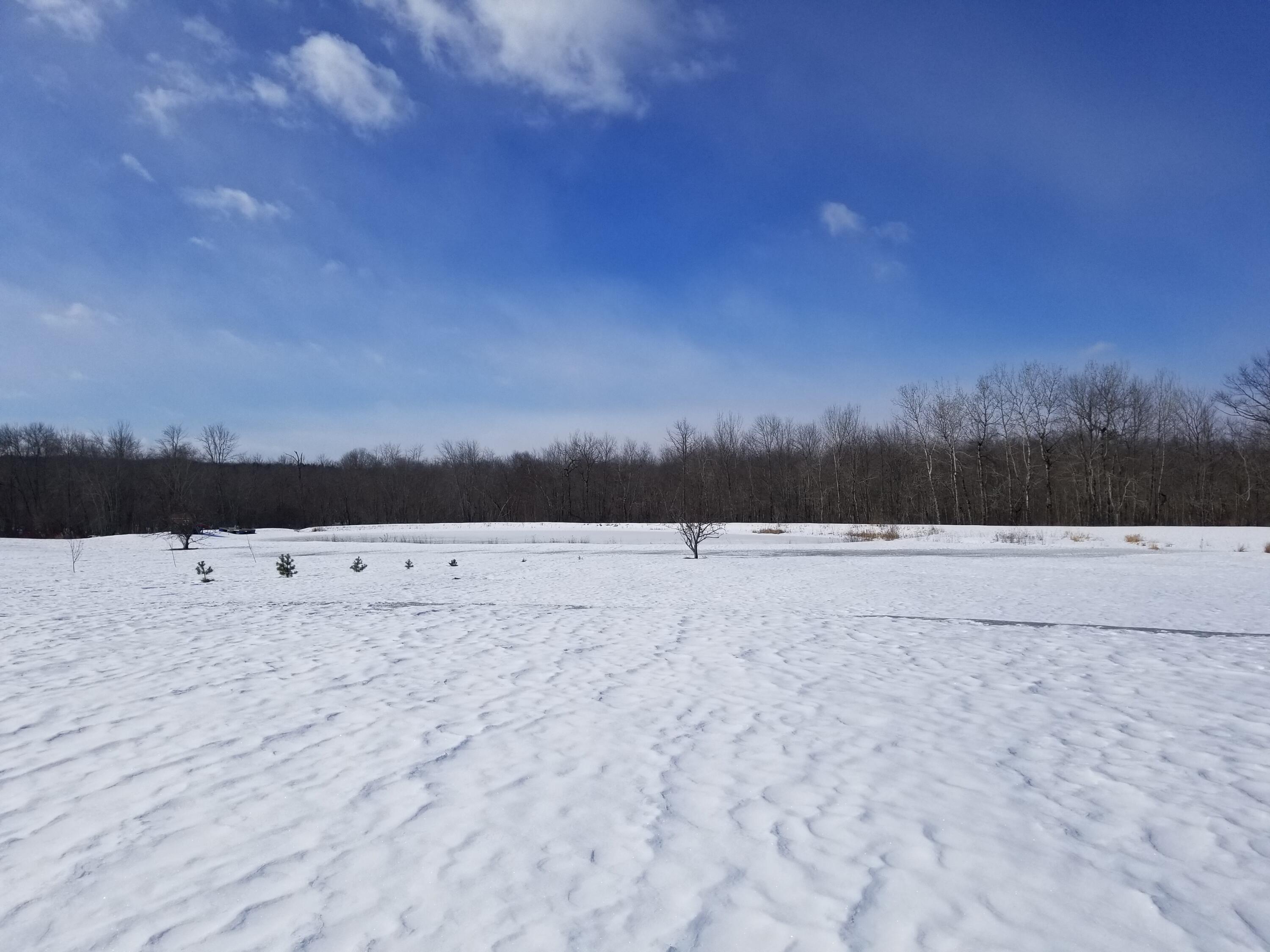 324 Bog Road Hermon, ME 04401 - Photo 3 of 27 field and pond