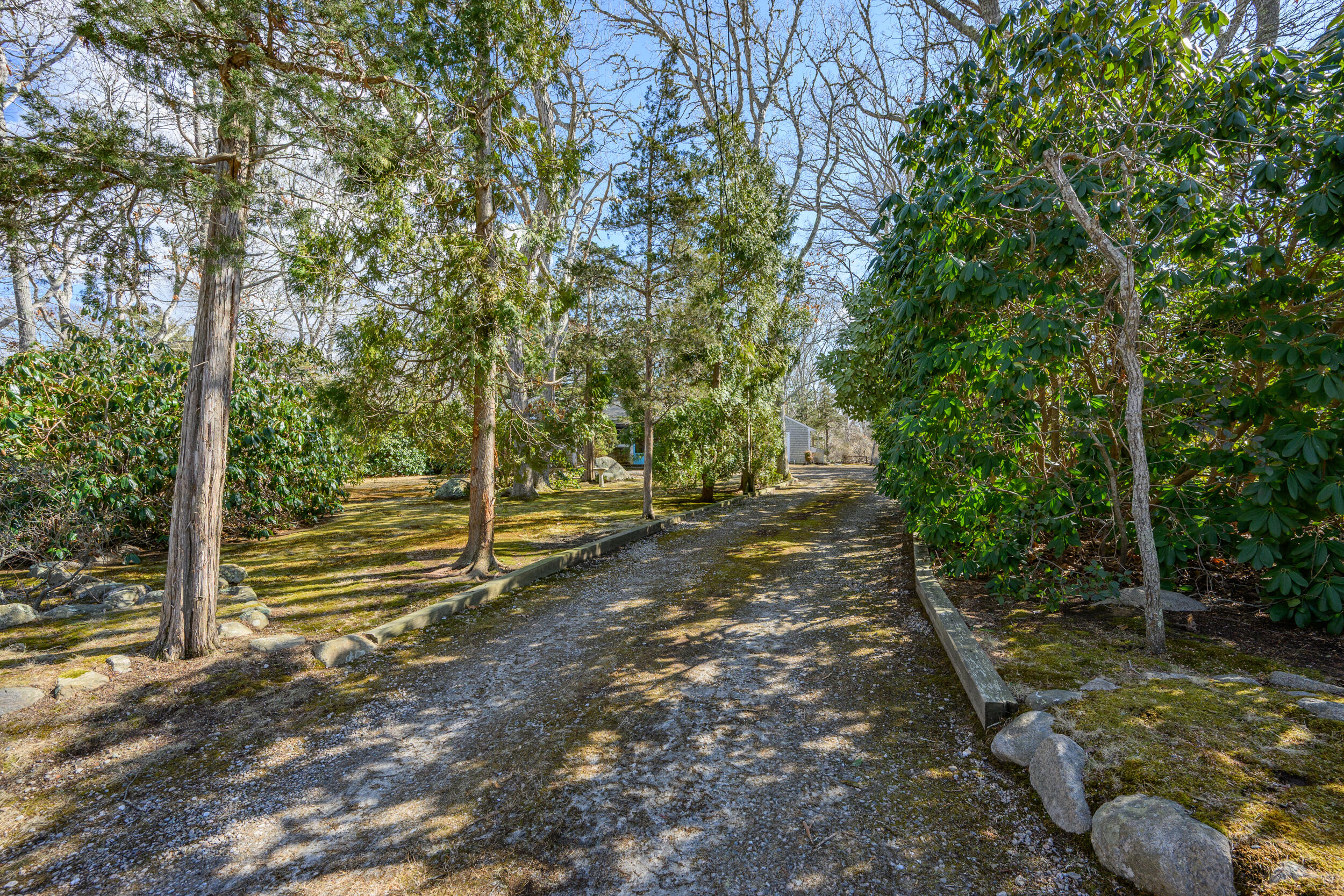 13 Hidden Village Road West Falmouth, MA 02540 - Photo 4 of 31 a view of a yard with large trees