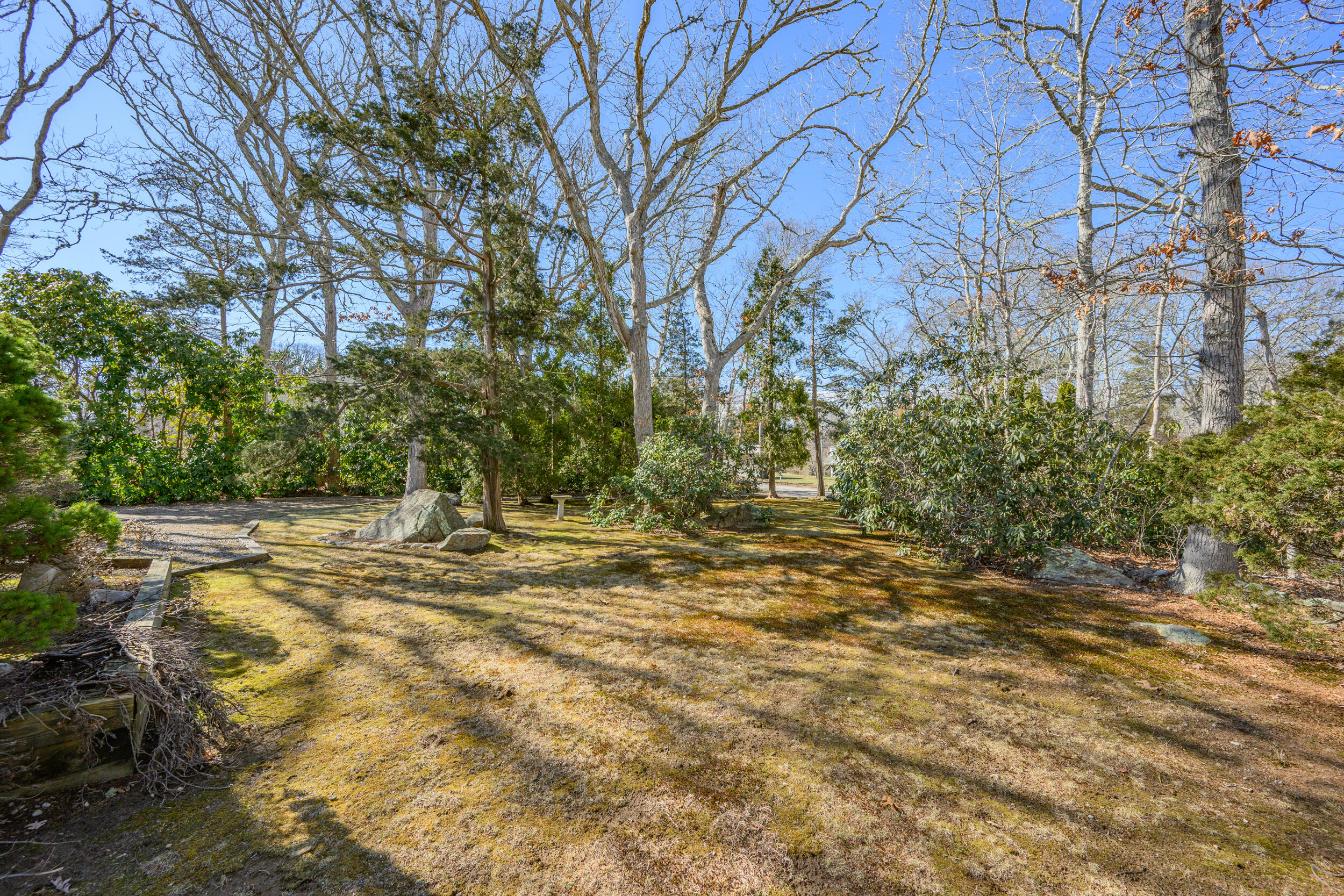 13 Hidden Village Road West Falmouth, MA 02540 - Photo 6 of 31 a view of a yard with a tree