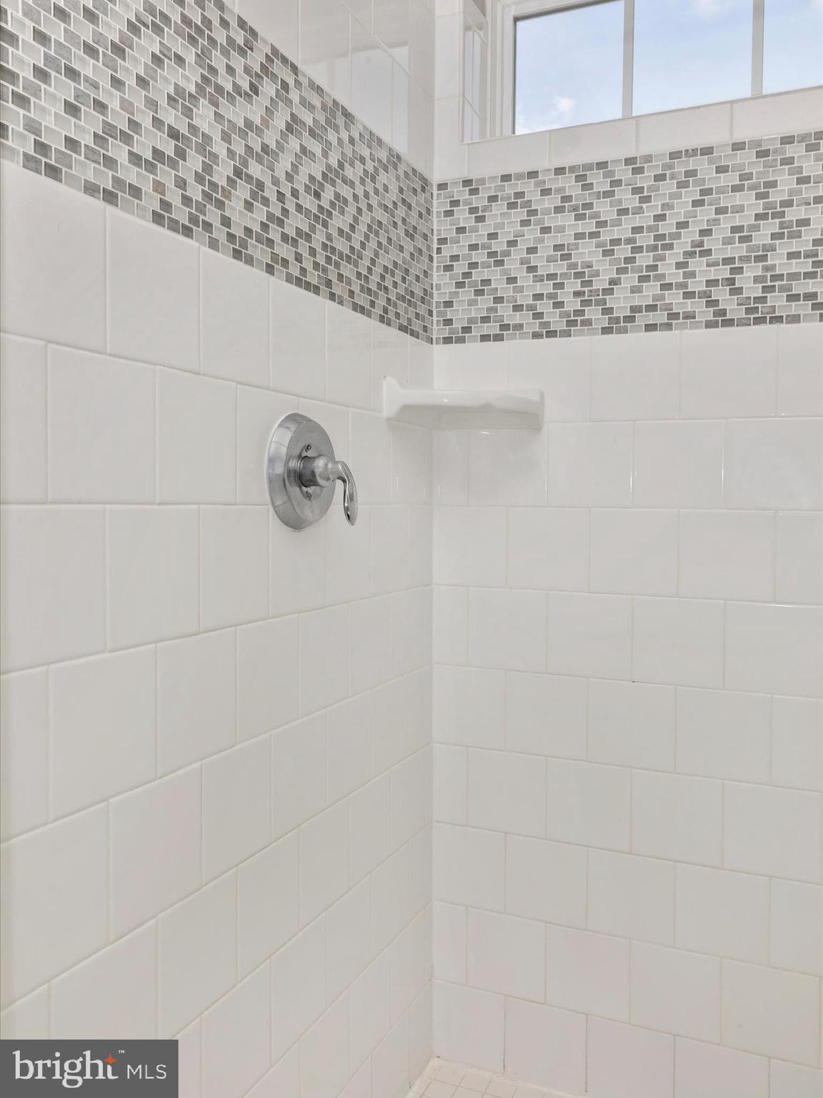 8432 Pine Bluff Road Frederick, MD 21704 - Photo 42 of 60 Primary Bathroom