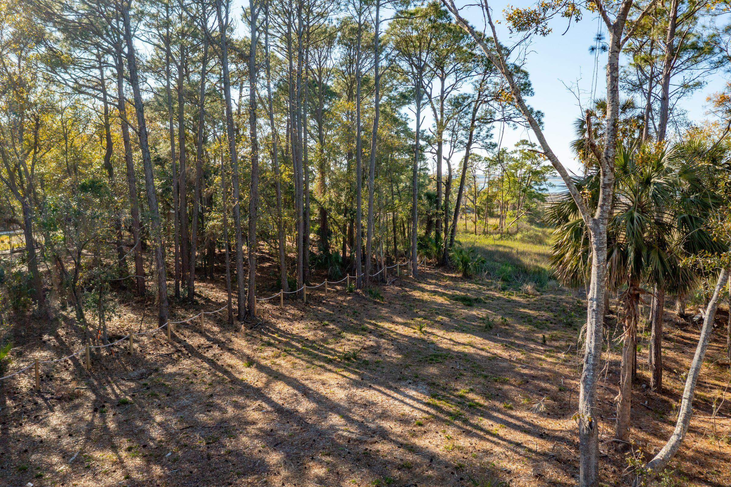 290 Shadow Race Lane Folly Beach, SC 29439 - Photo 11 of 26 Lot