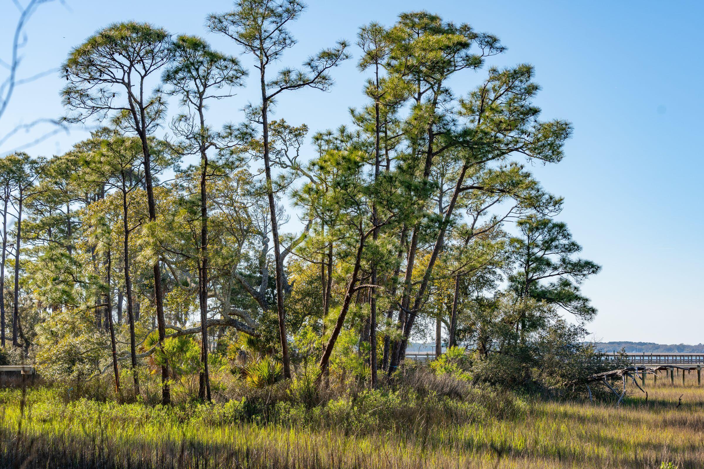 290 Shadow Race Lane Folly Beach, SC 29439 - Photo 12 of 26 Lot