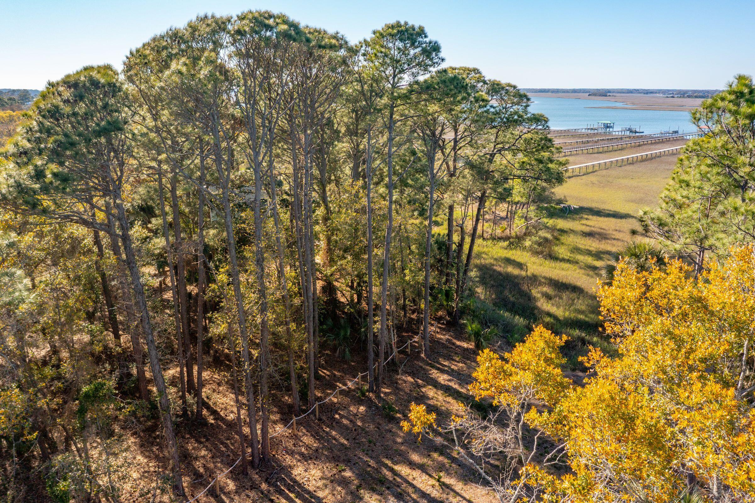 290 Shadow Race Lane Folly Beach, SC 29439 - Photo 14 of 26 Aerial