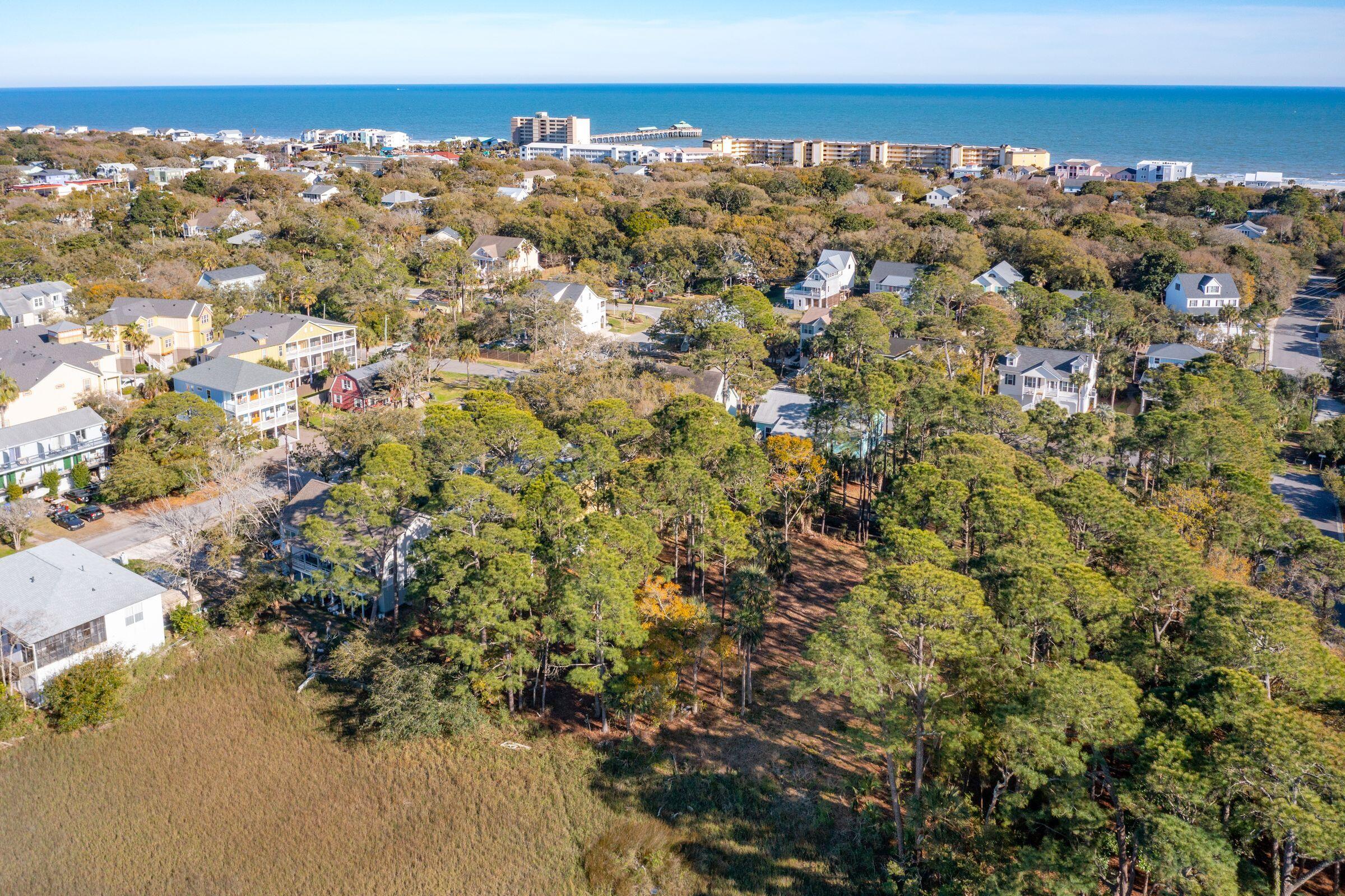 290 Shadow Race Lane Folly Beach, SC 29439 - Photo 17 of 26 Aerial