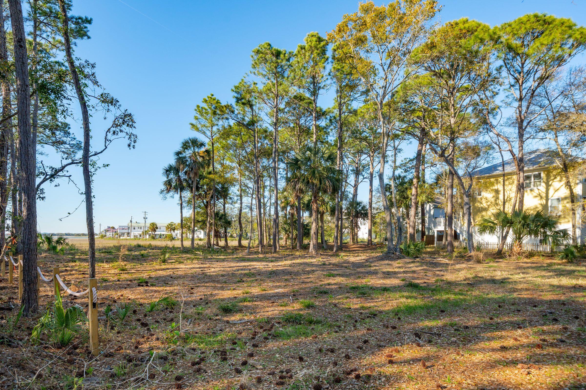290 Shadow Race Lane Folly Beach, SC 29439 - Photo 5 of 26 Lot