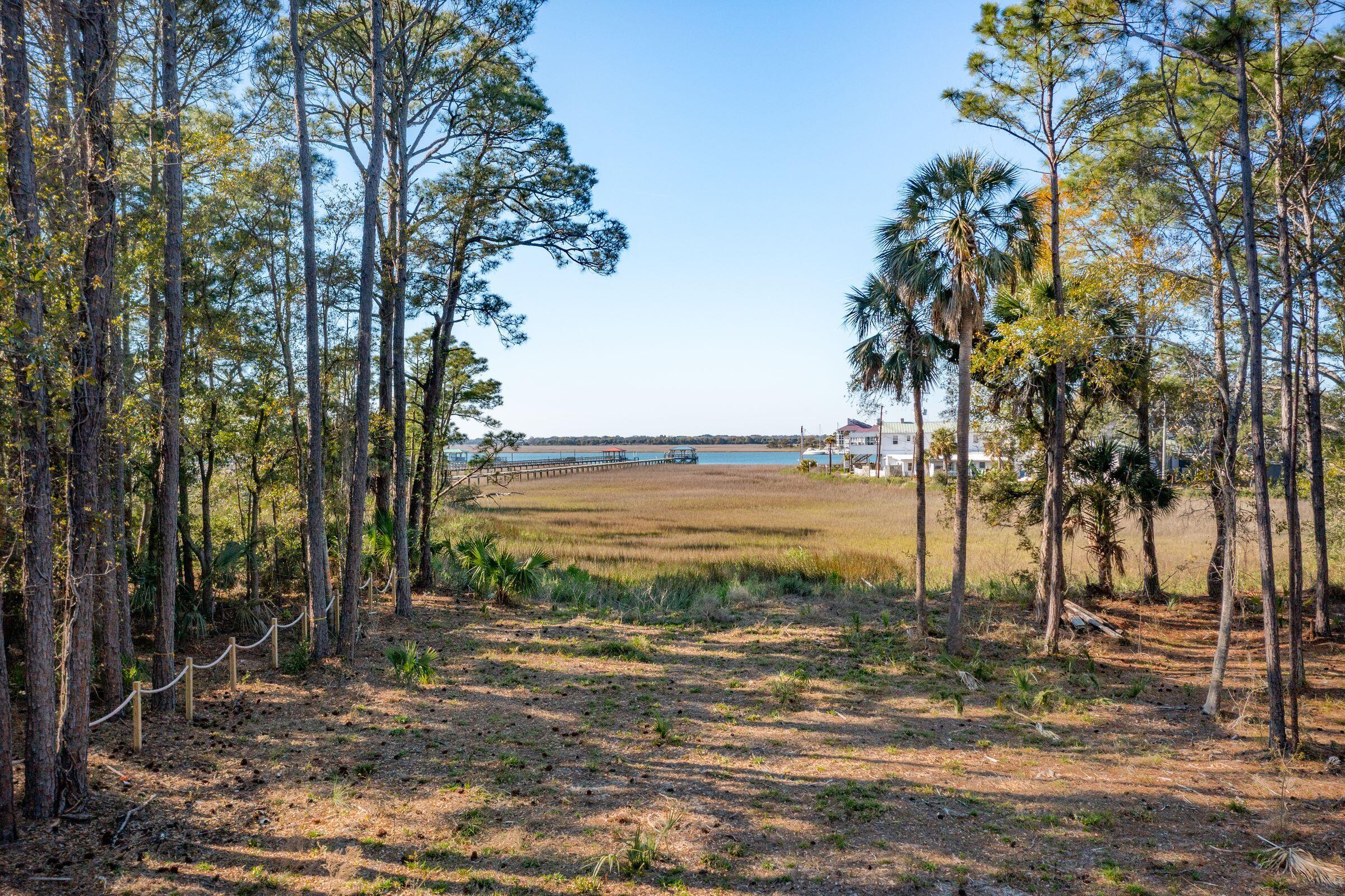290 Shadow Race Lane Folly Beach, SC 29439 - Photo 6 of 26 Lot