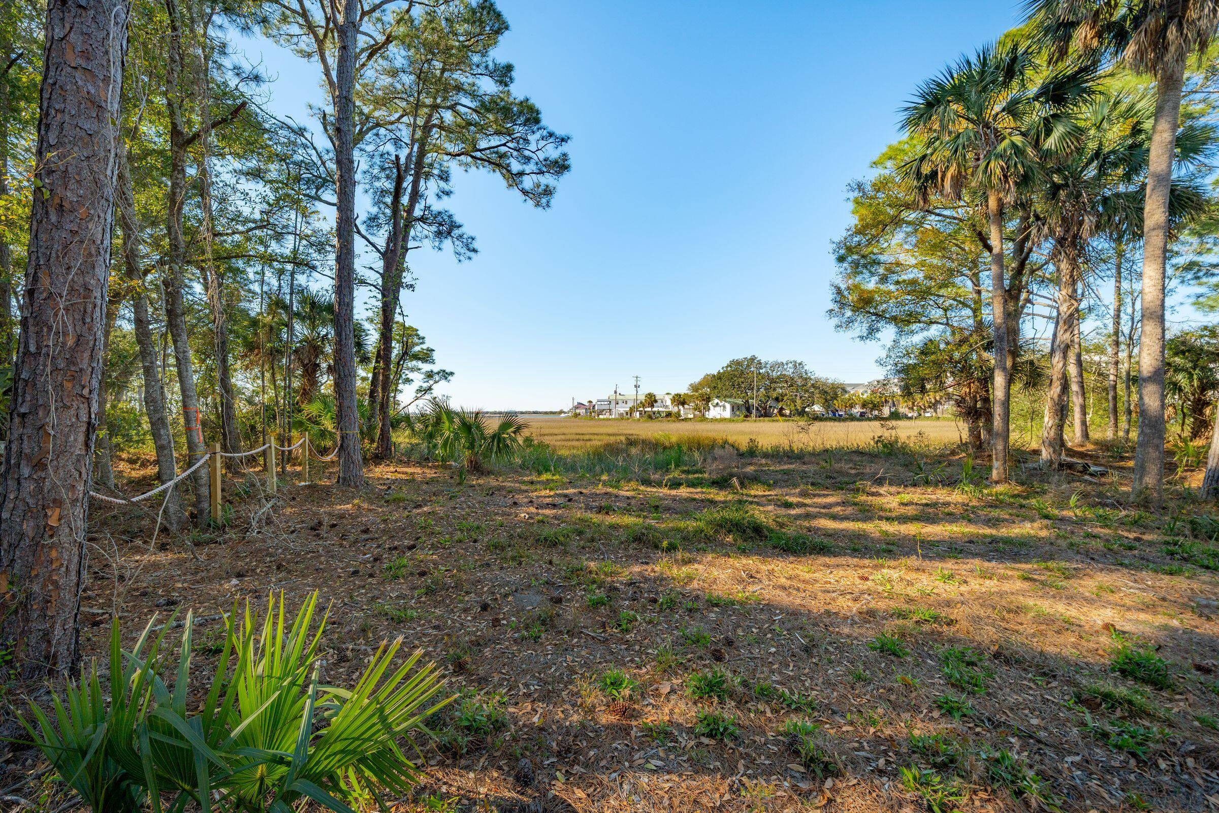 290 Shadow Race Lane Folly Beach, SC 29439 - Photo 7 of 26 Lot