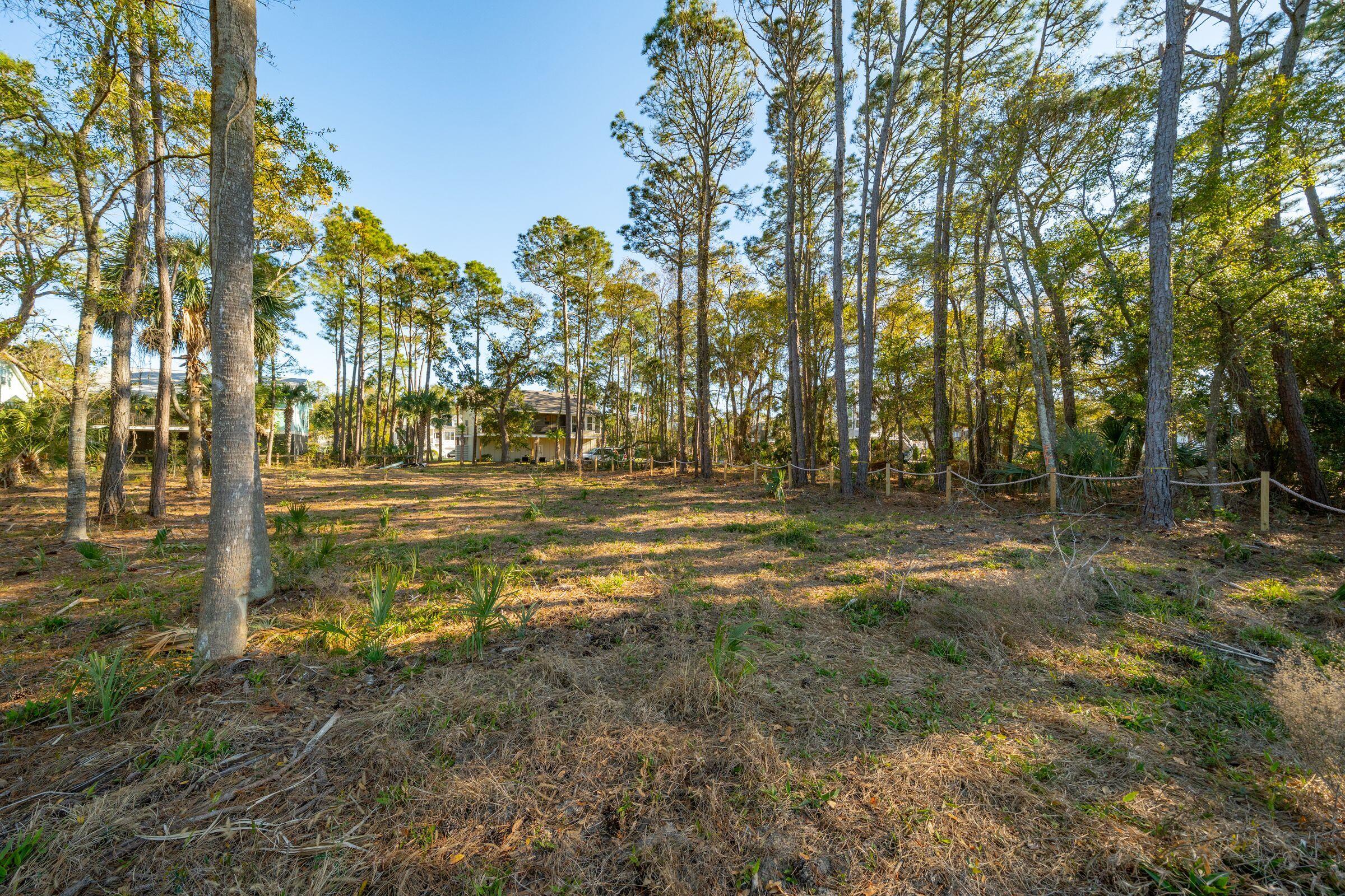 290 Shadow Race Lane Folly Beach, SC 29439 - Photo 8 of 26 Lot