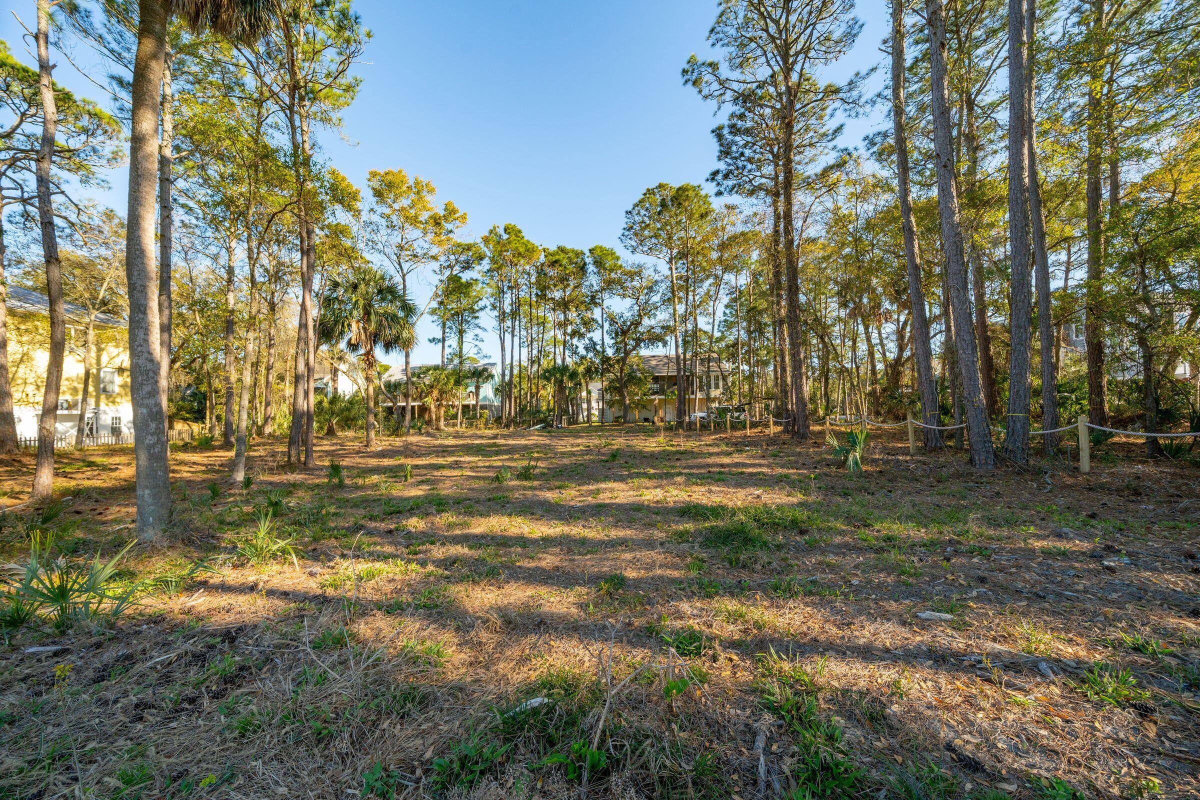 290 Shadow Race Lane Folly Beach, SC 29439 - Photo 9 of 26 Lot