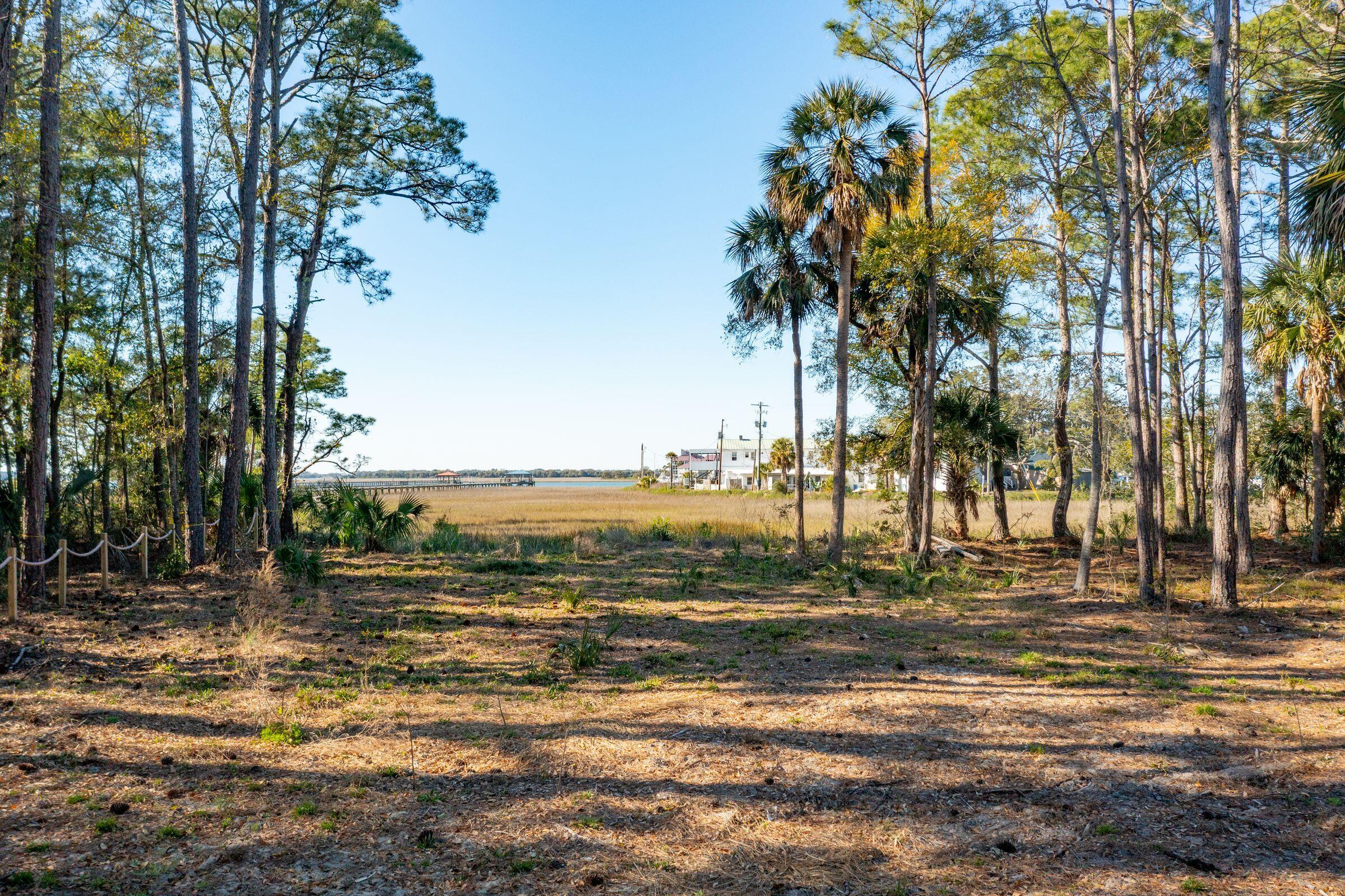 290 Shadow Race Lane Folly Beach, SC 29439 - Photo 10 of 26 Lot