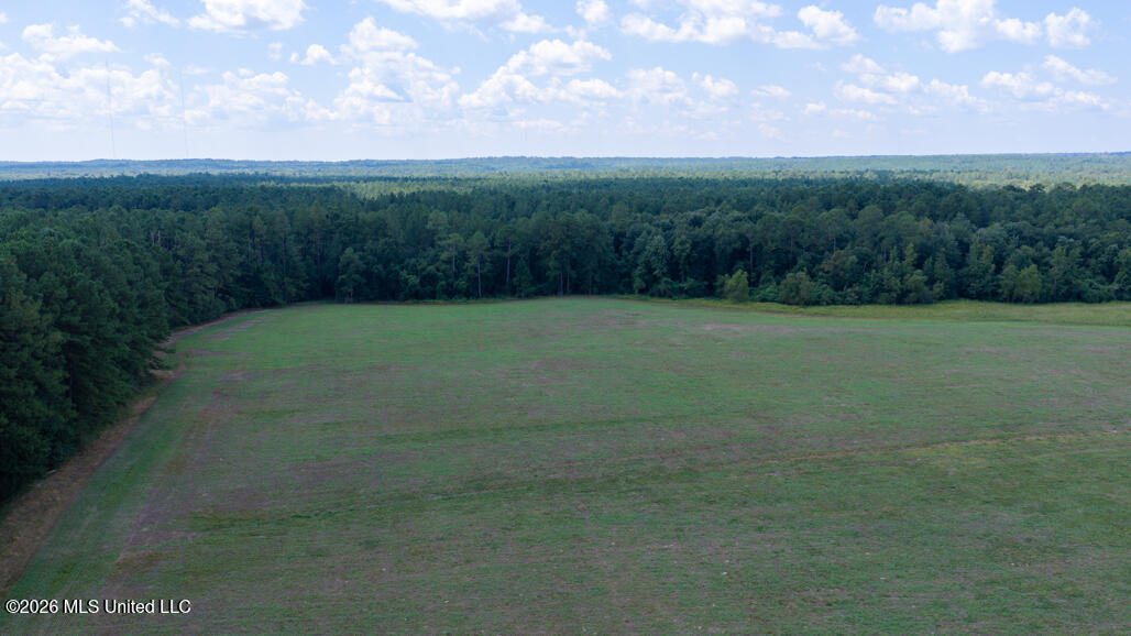 164 Lott Cemetary Road Perkinston, MS 39573 - Photo 48 of 68 pic-18