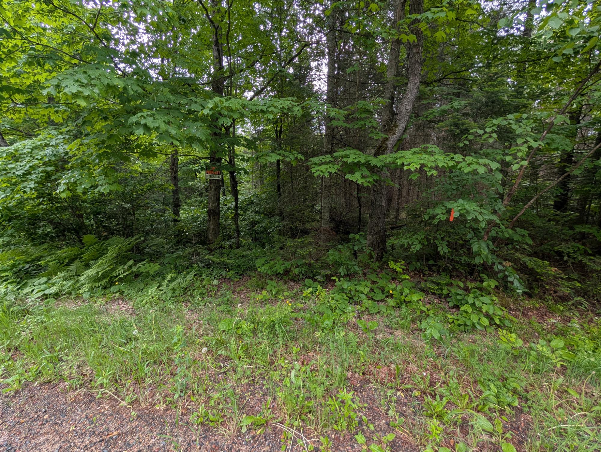 Lot 4 Davies Road Phelps, WI 54554 - Photo 3 of 4 Gallery Image 3