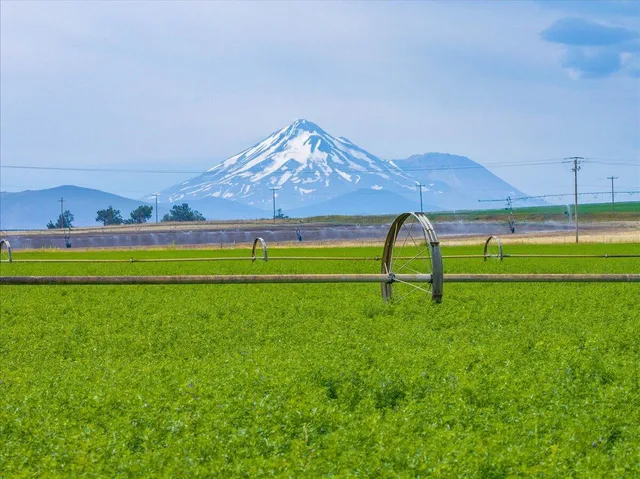 a view of outdoor space and mountain view