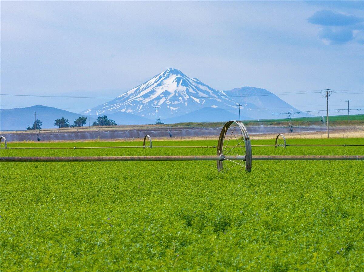 042-Macdoel Hay Ranch - E-47