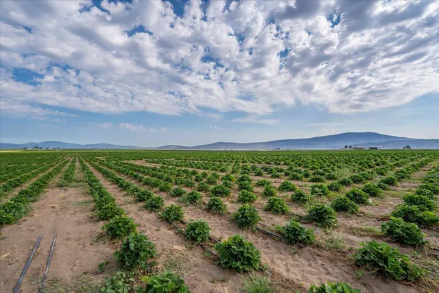 $8,865,000 | 2935 Sheep Mountain Road, Macdoel, CA 96058