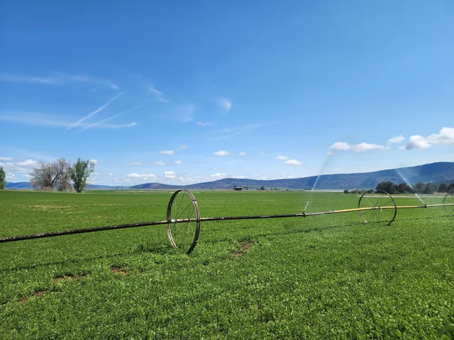 a view of a street with cars