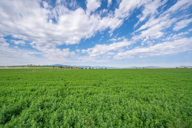 $8,865,000 | 2935 Sheep Mountain Road, Macdoel, CA 96058