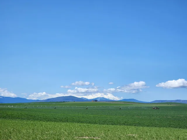 a view of a big room with a big yard