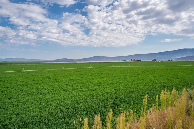 $8,865,000 | 2935 Sheep Mountain Road, Macdoel, CA 96058