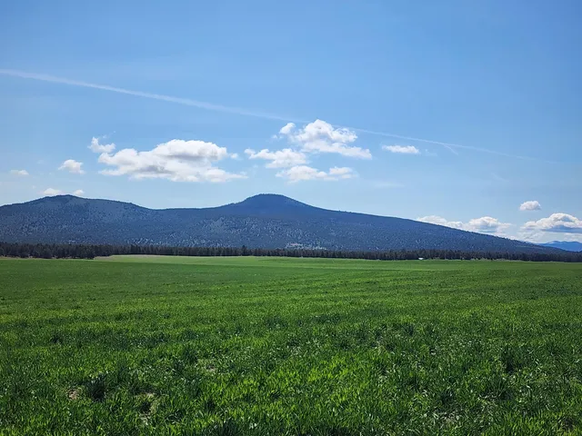 a view of a big yard with a garden
