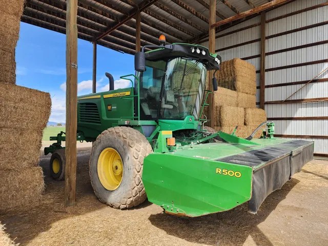 a view of a garden with plants