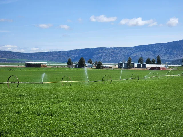 a view of yard with swimming pool and outdoor space