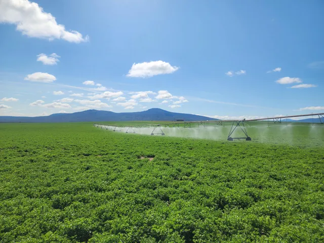 a view of a field of grass and trees