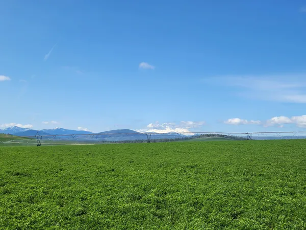$7,900,000 | 2935 Sheep Mountain Road, Macdoel, CA 96058