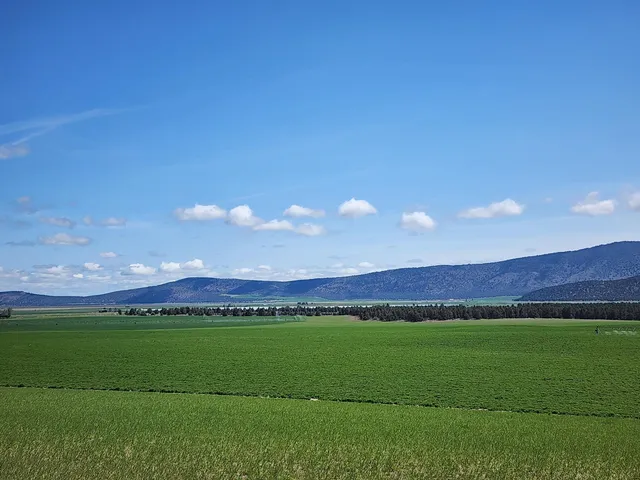 a view of a house with basket ball court and a yard