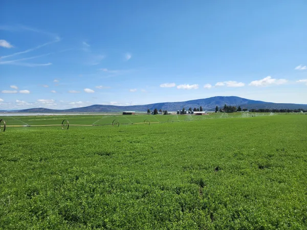 $7,900,000 | 2935 Sheep Mountain Road, Macdoel, CA 96058