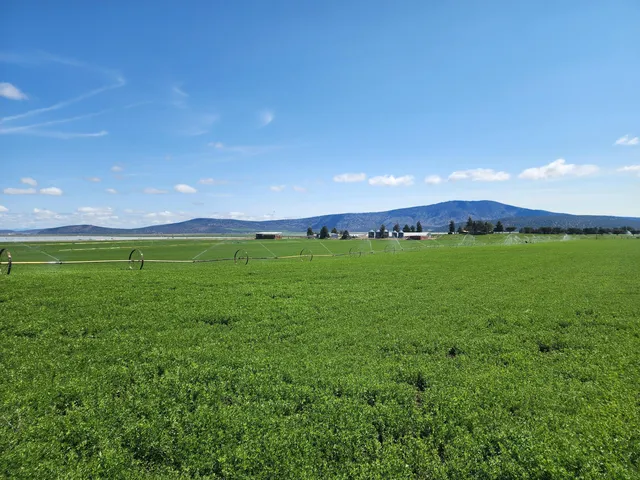 a view of a room that has wooden walls