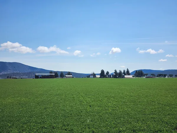 $7,900,000 | 2935 Sheep Mountain Road, Macdoel, CA 96058