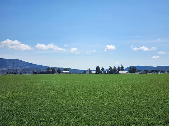 a view of a car in front of a building