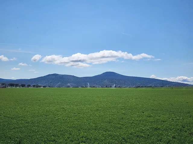 a view of yard with grass and a building