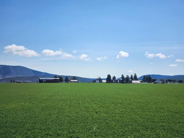 $7,900,000 | 2935 Sheep Mountain Road, Macdoel, CA 96058