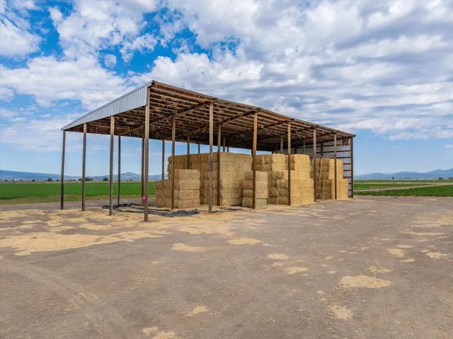 a view of a park with large trees
